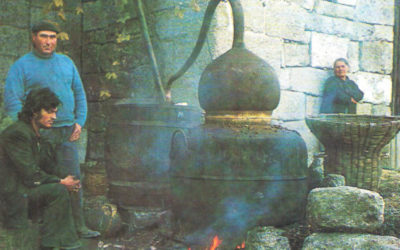 Ao pé do alambique. A caña e os licores tradicionais galegos por Marcos Seixo